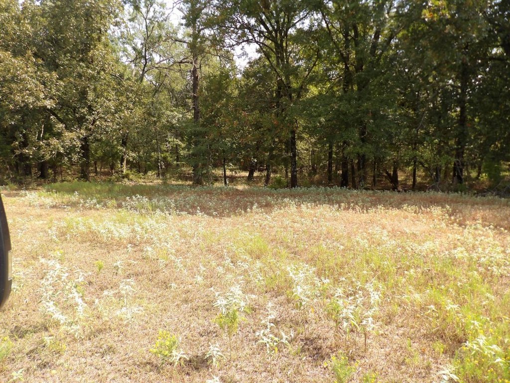 Picture 41