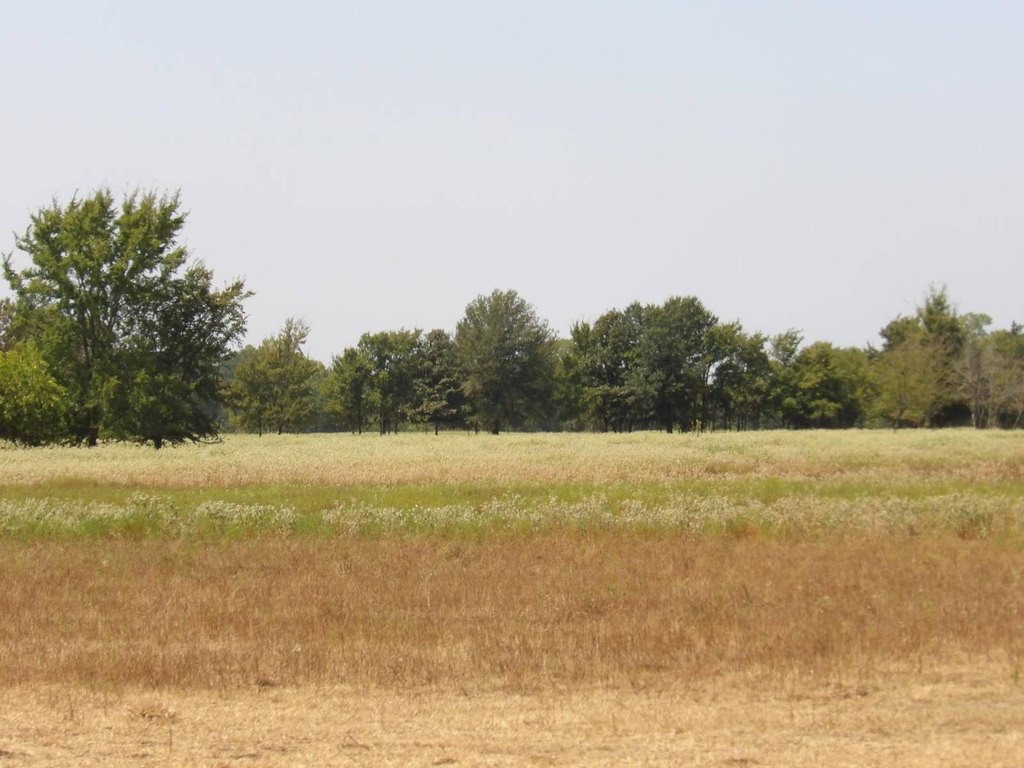 Picture 31