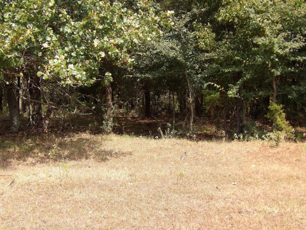 Picture 26