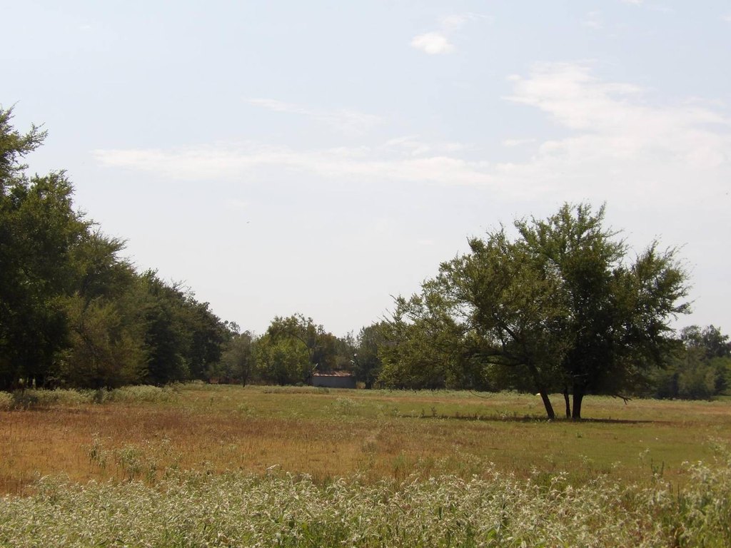 Picture 7