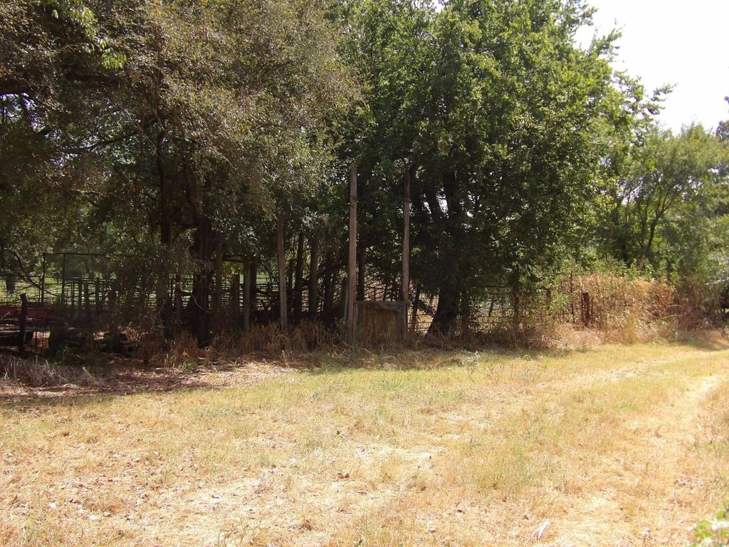 Picture 21