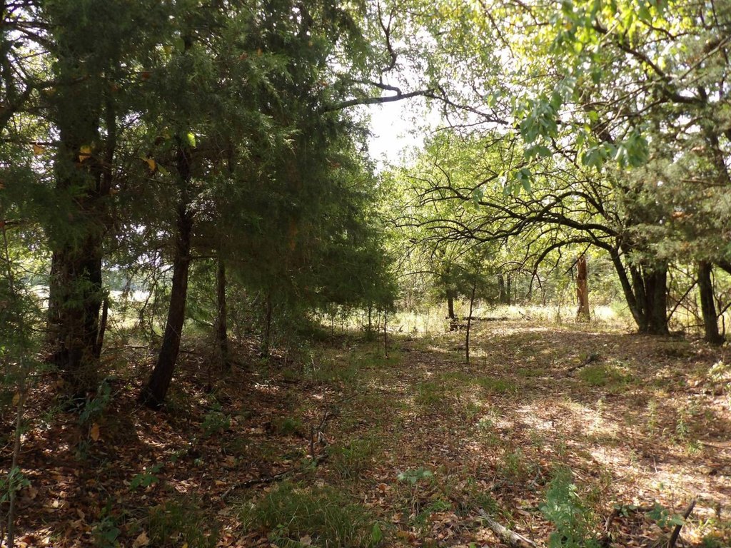 Picture 15