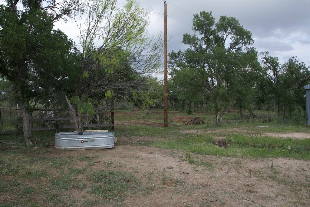 Picture 22