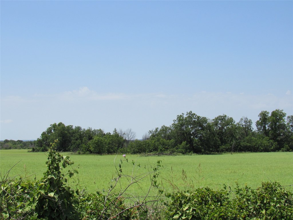 Picture 7