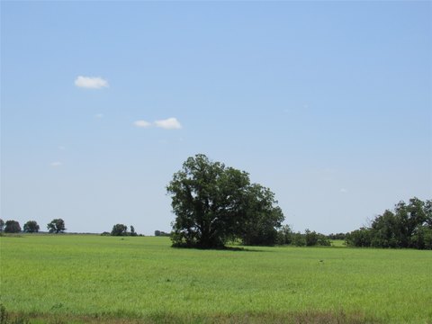 Carbon, TX Ranch Land