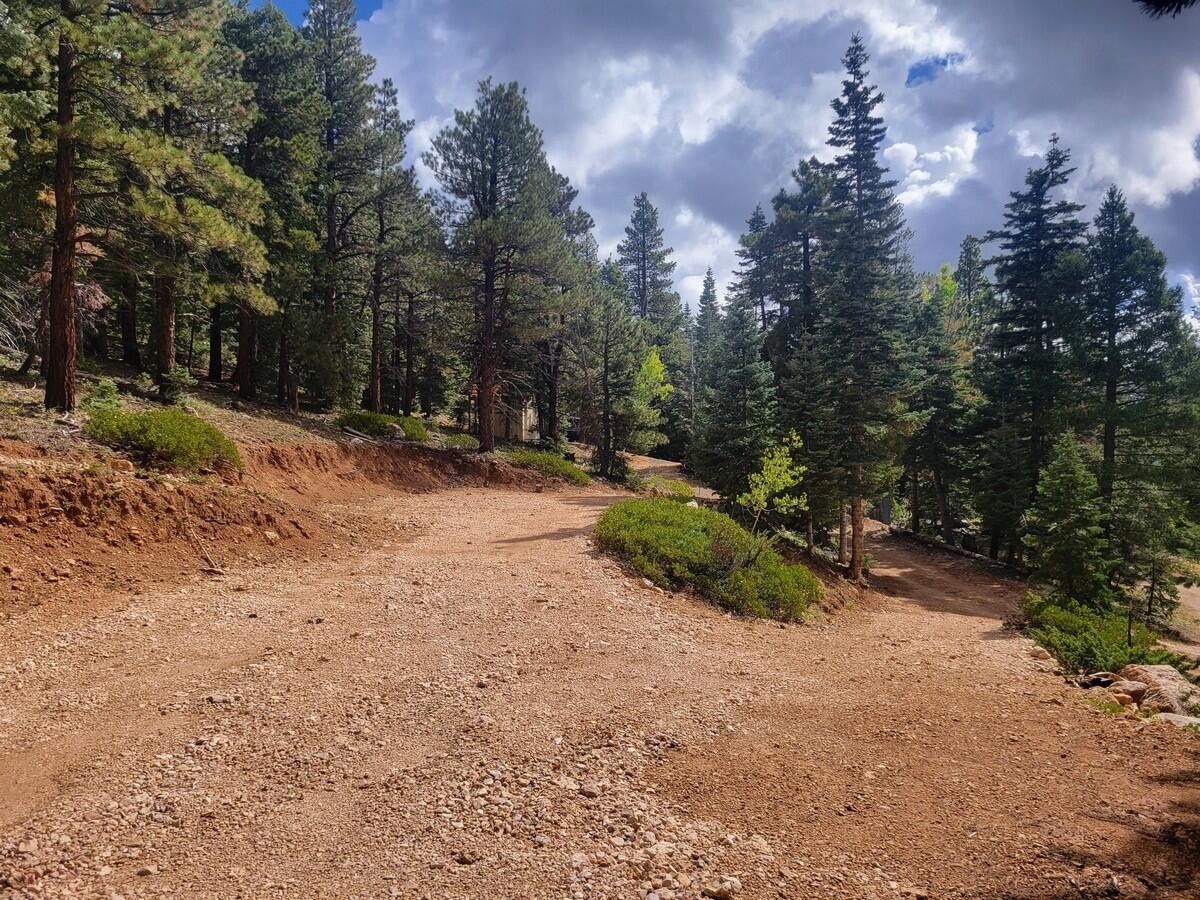 Land Near Navajo Lake