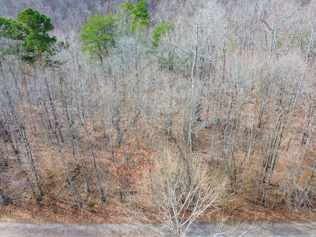 Picture 14