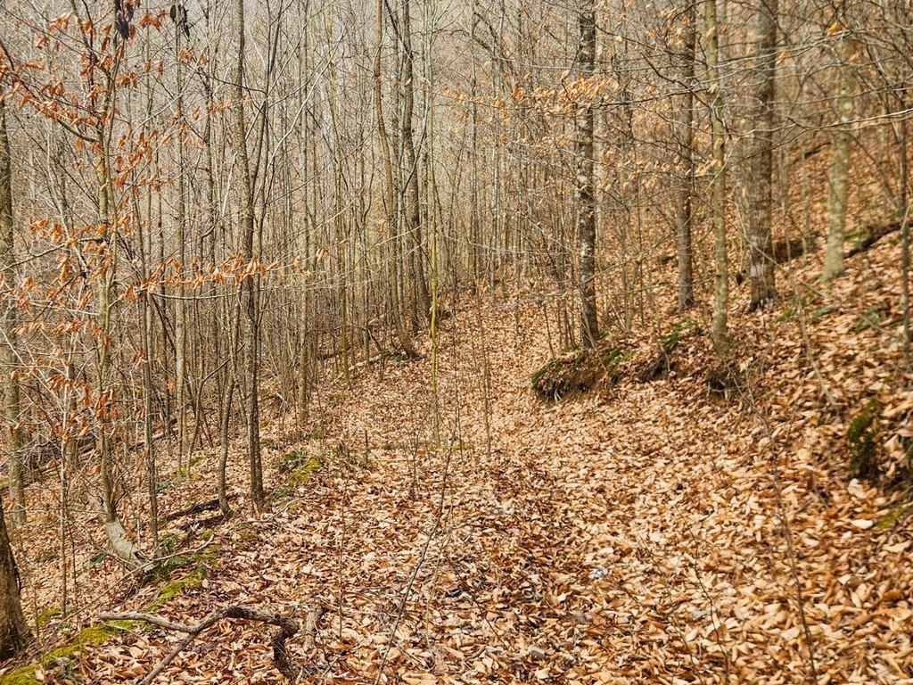 Picture 51