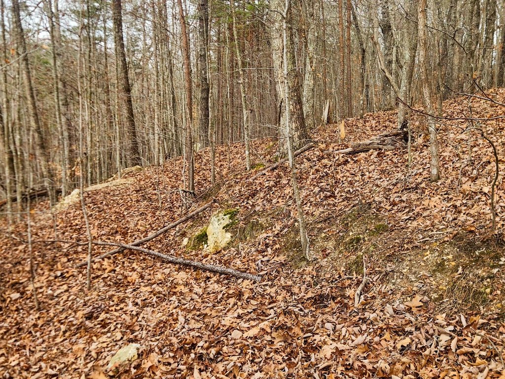 Picture 45