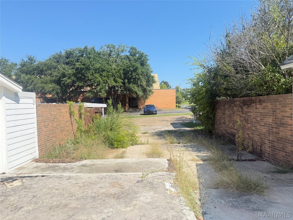 Picture 6