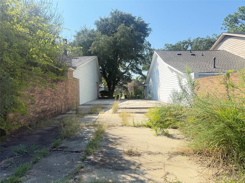 Picture 15