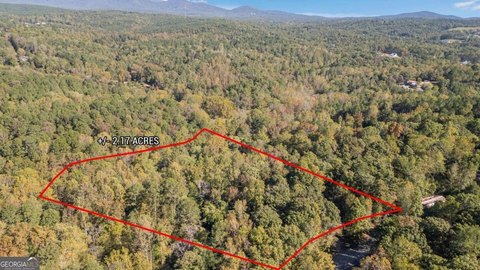 Serene Wooded Lot in Ball Ground