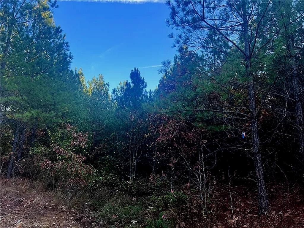 Picture 4