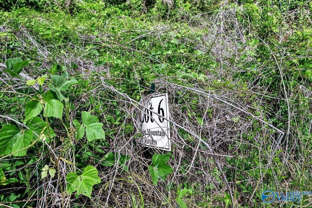 Picture 5