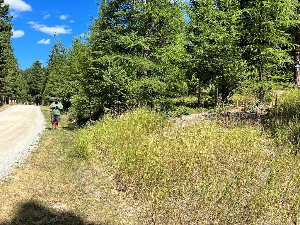 Picture 21