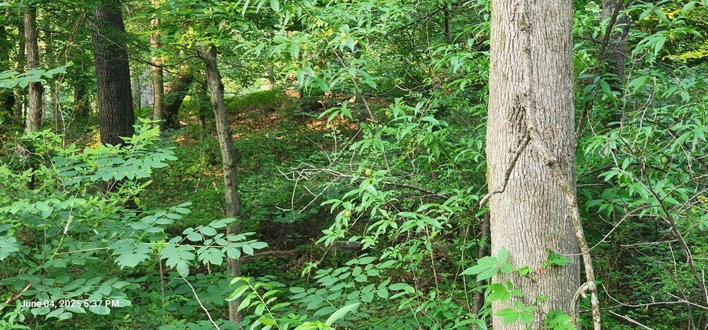 Picture 3