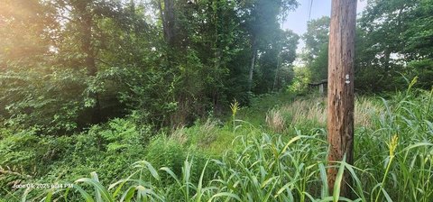 Unrestricted Lot Near Camden, TN