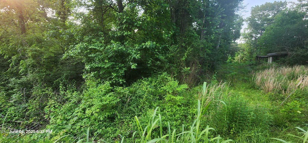 Picture 6