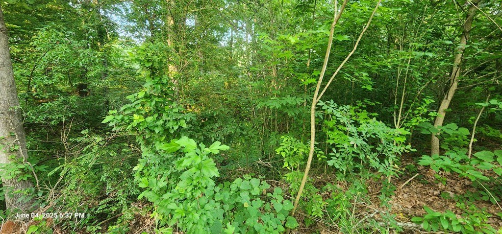 Picture 2
