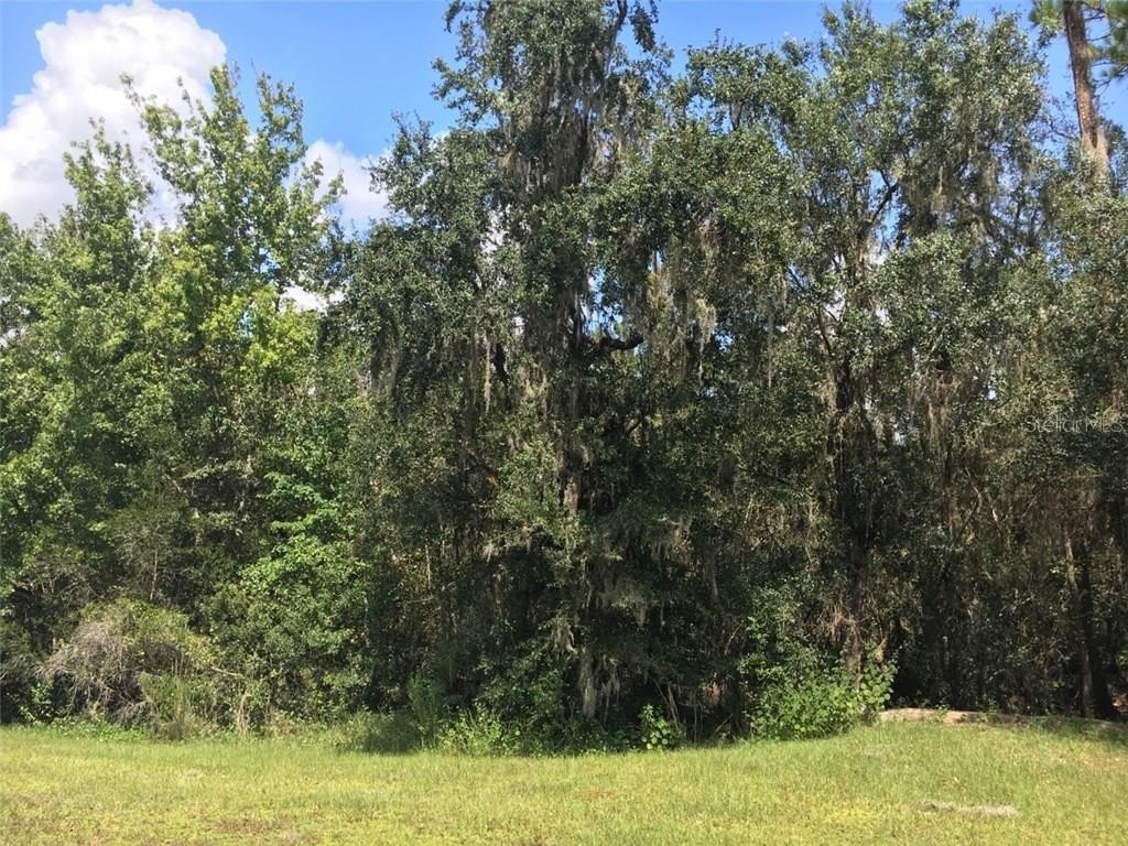 Land in Equestrian Community