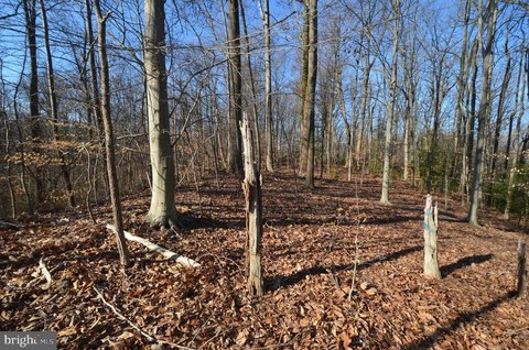 Crownsville Wooded Lot For Sale