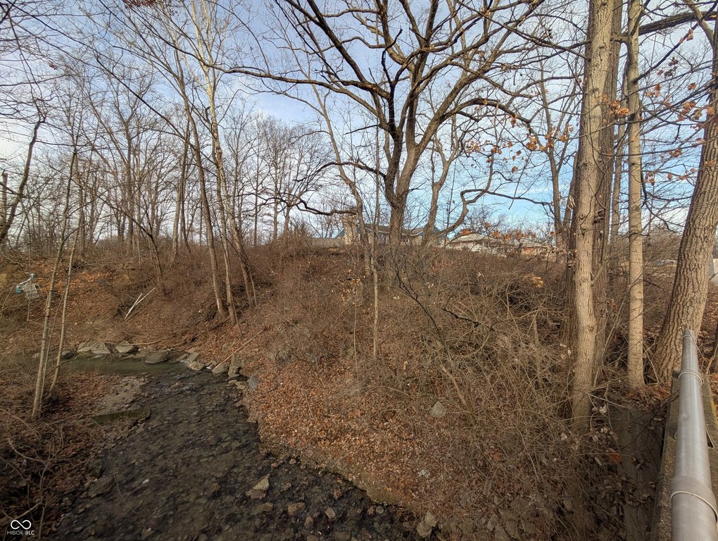 Picture 5