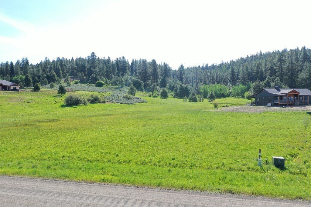 Picture 4