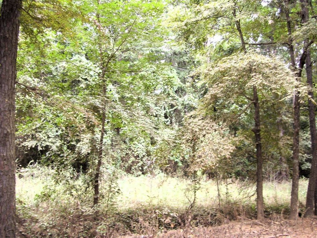 Picture 2