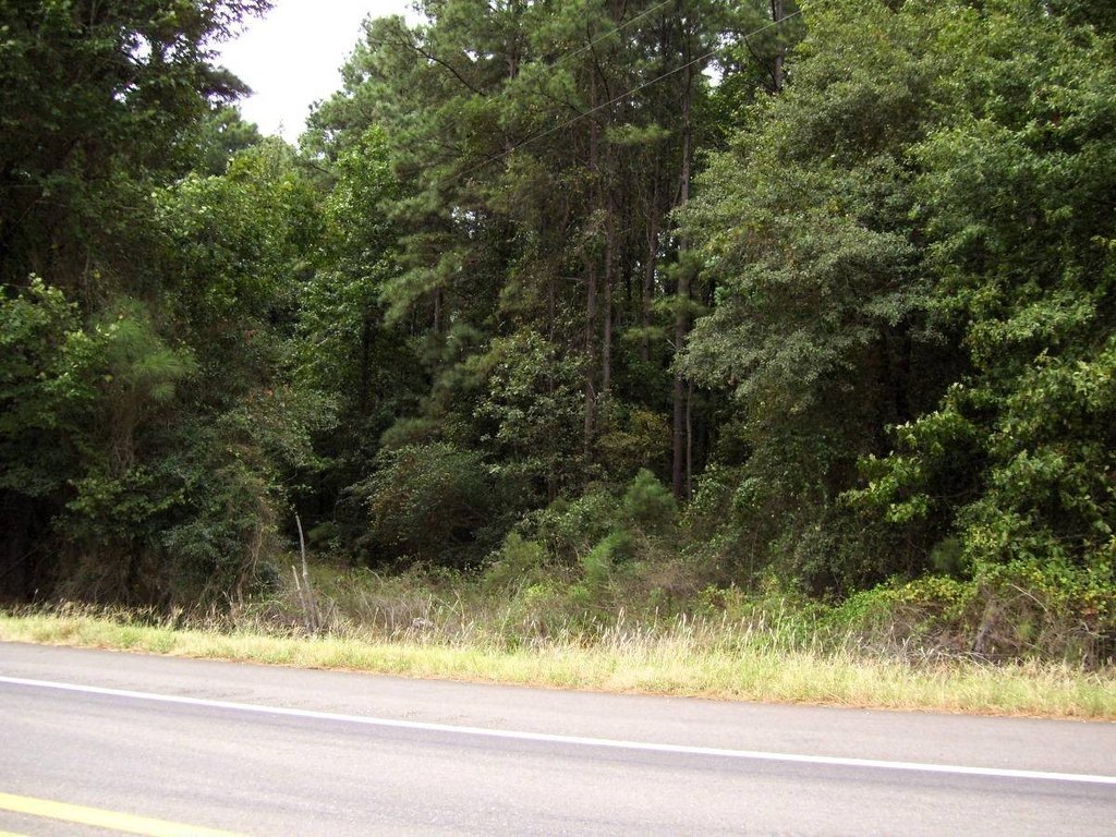 Picture 8
