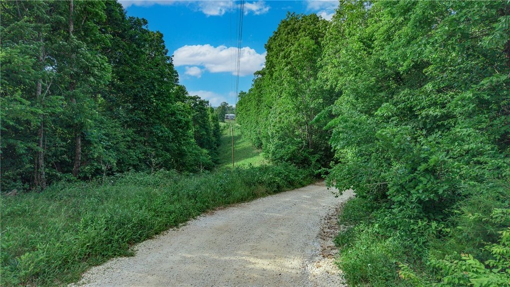 Picture 39