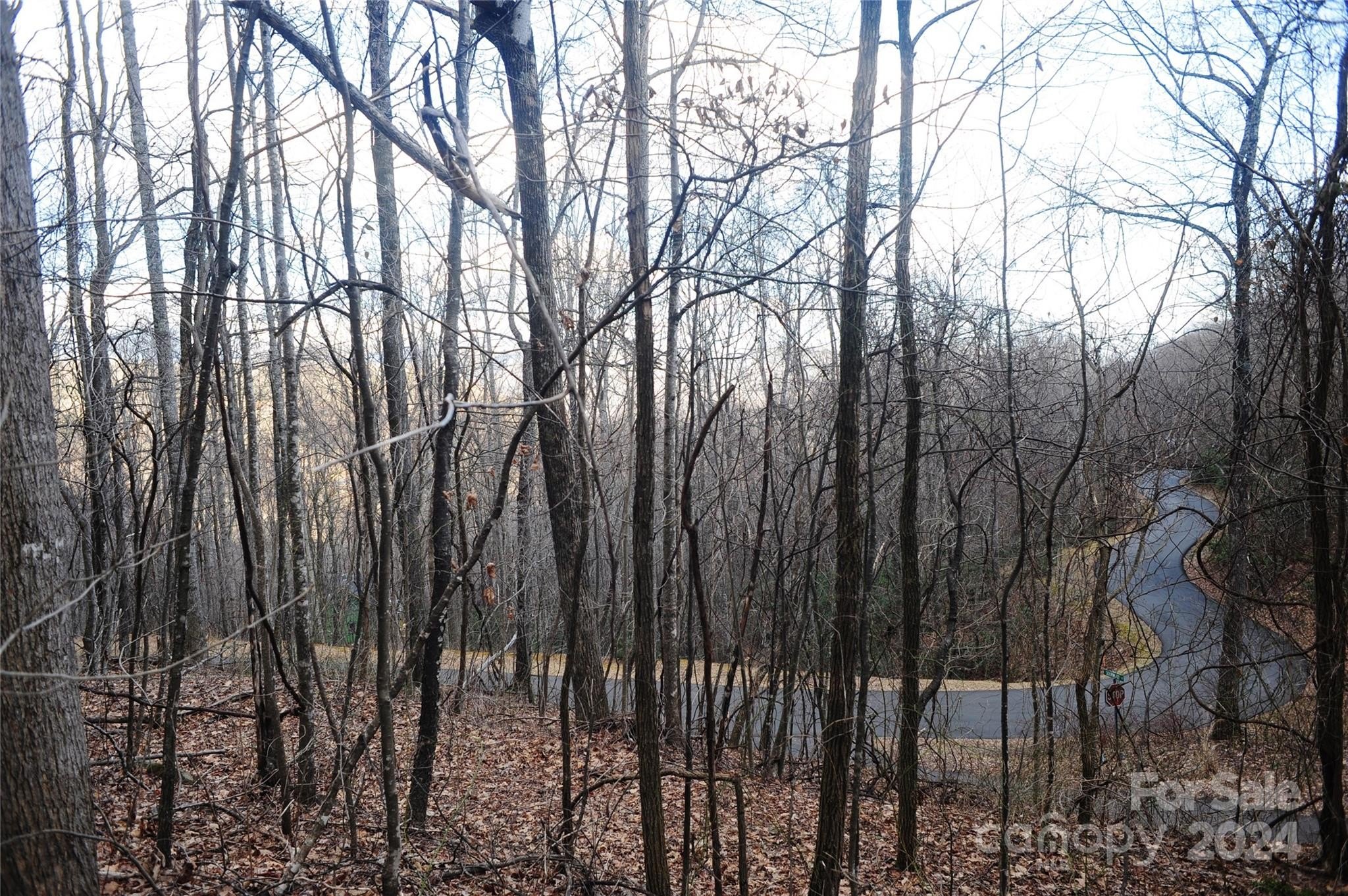 Black Mountain Corner Lot