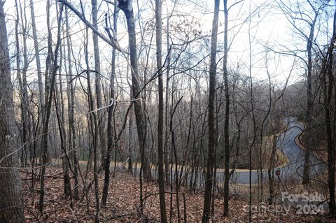 LAND - Black Mountain, NC