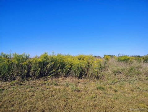 Land, Lowndesboro, AL