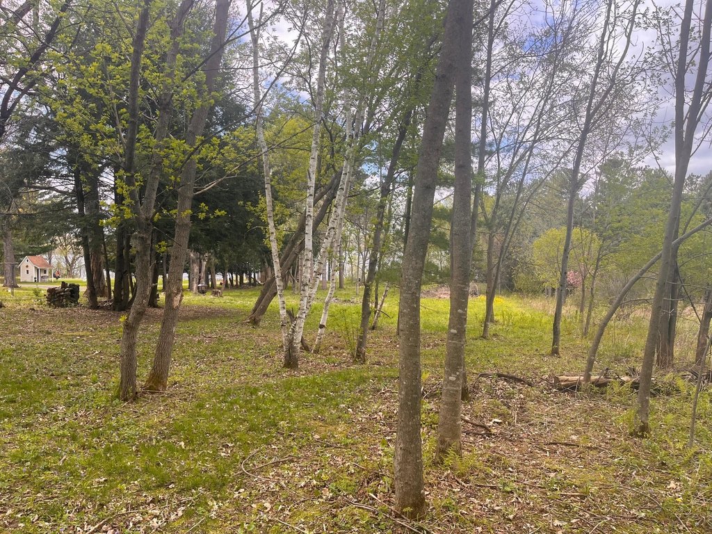 Picture 23