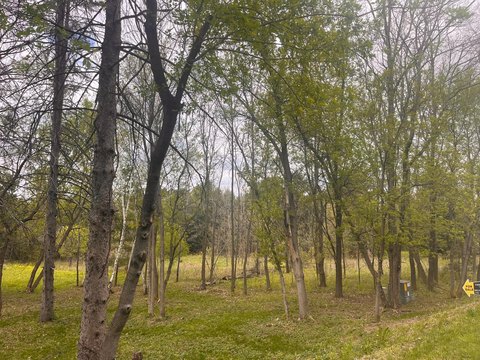Lakefront Residential Building Lot
