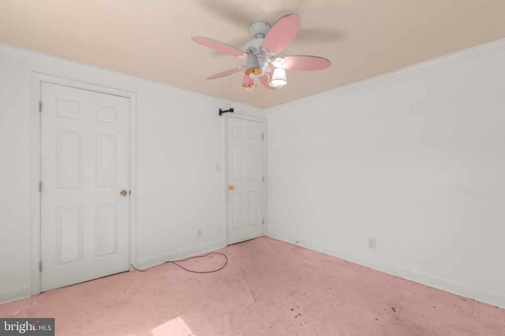 Picture 45