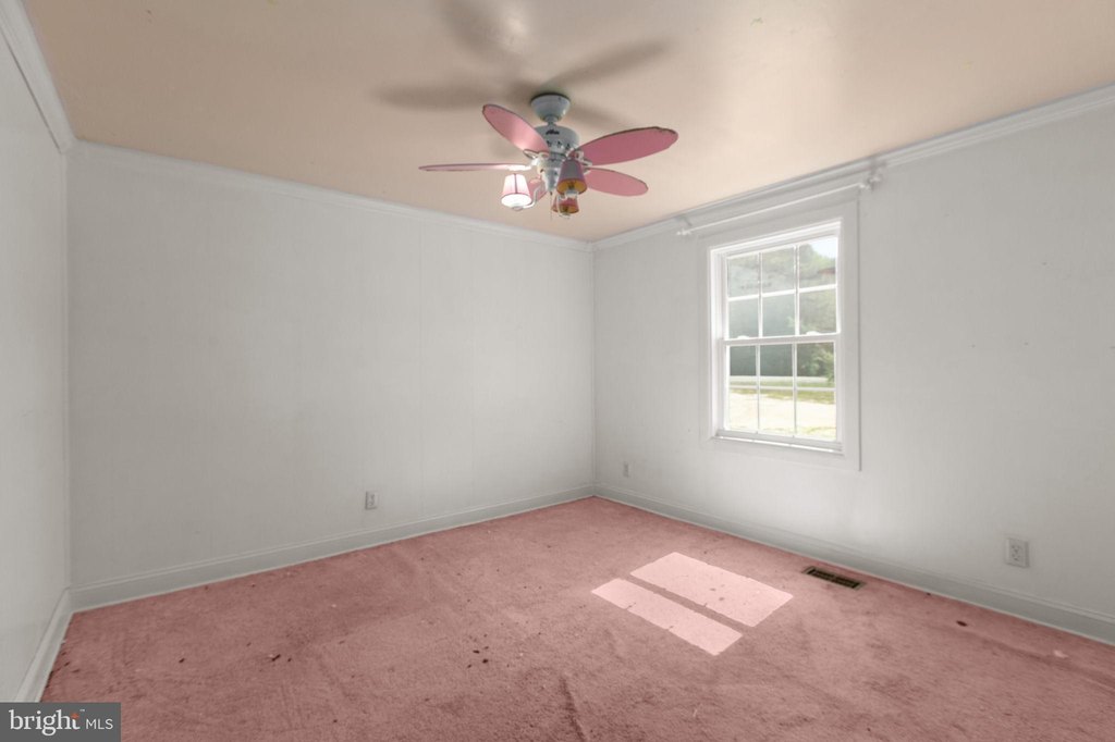 Picture 46