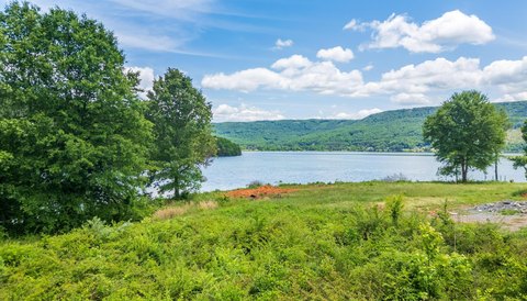 LAND - Jasper, TN