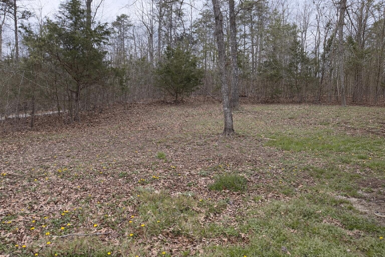 Monticello, KY Land For Sale