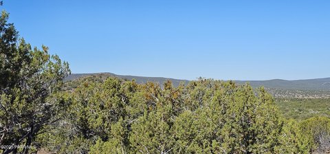 Heavily Wooded Land with Views