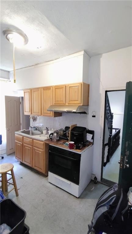Picture 13