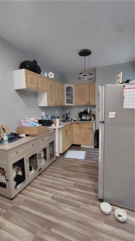 Picture 12