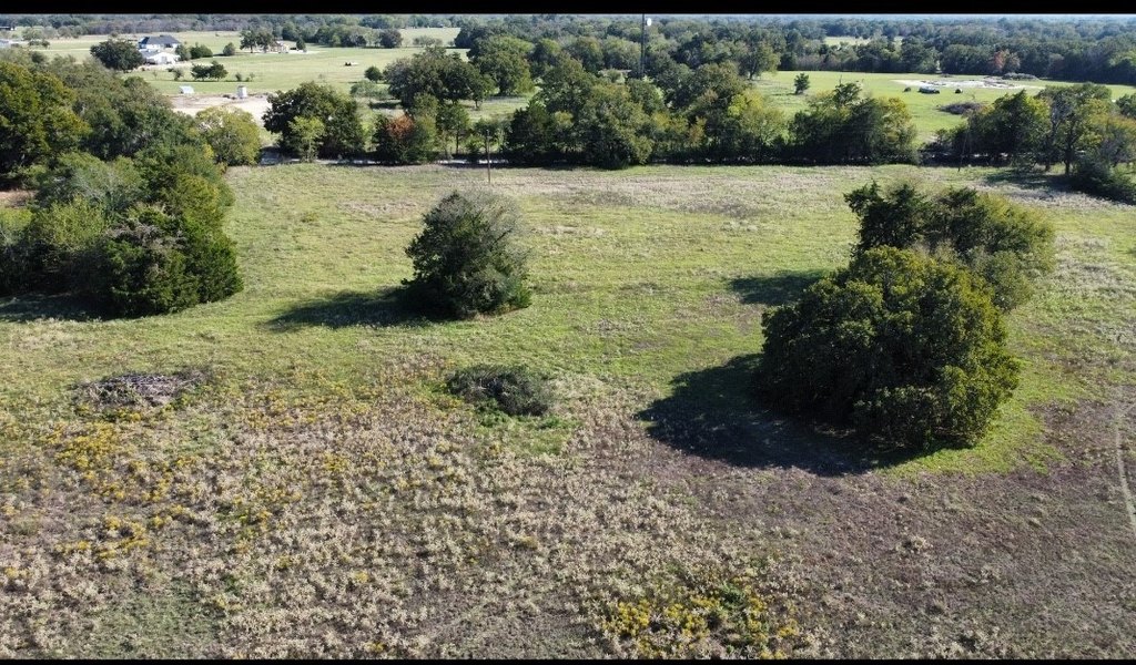 Picture 16