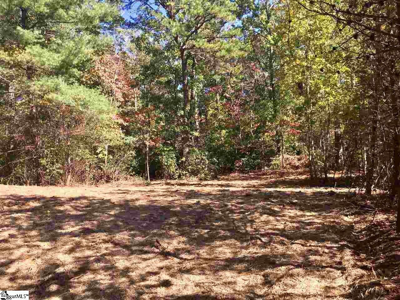 Homesite in The Cliffs Valley