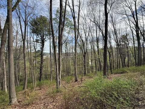 Land, Galax, VA