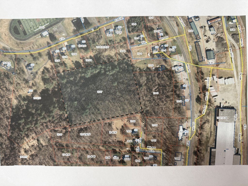 Picture 6