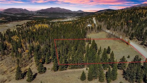 Treed Land Near Fairplay, CO