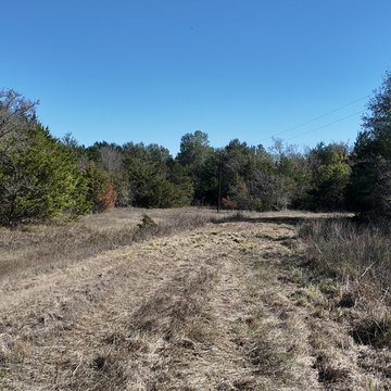 Land, Wolfe City, TX