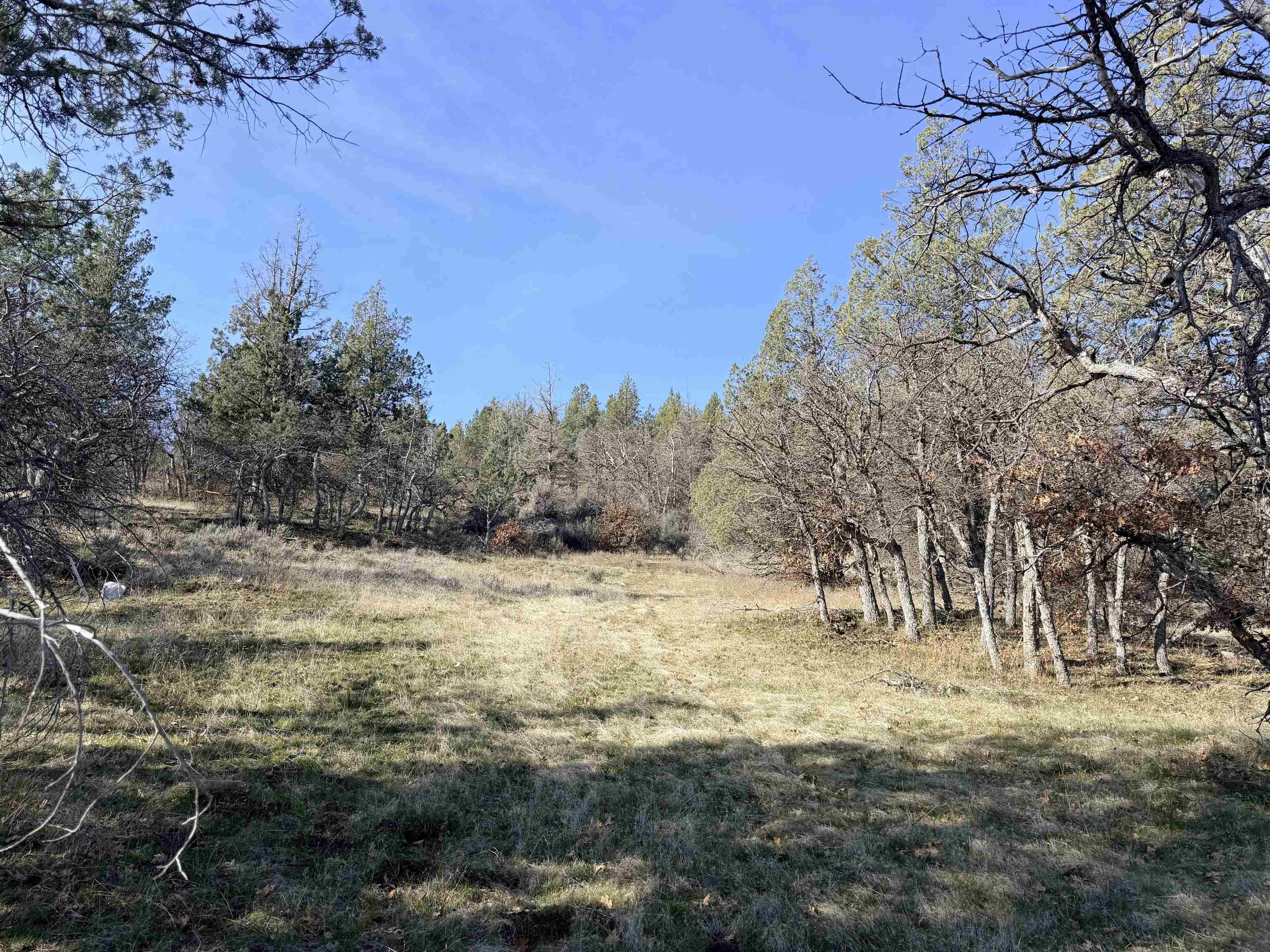 8.6 Acres in Klamath River