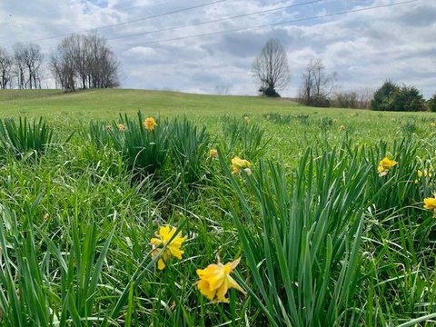 Unrestricted Country Land with Water